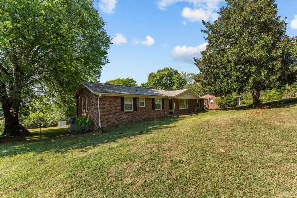 205 Bellview Dr, Mount Pleasant, TN 38474