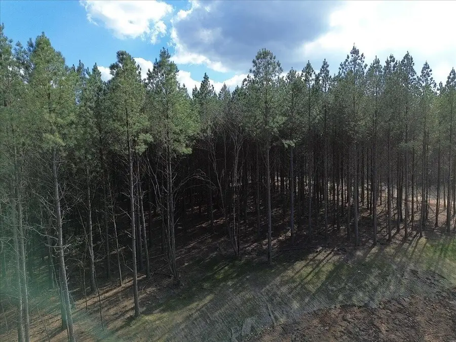 0 Mullins Point, Guild, TN 37340 - #3