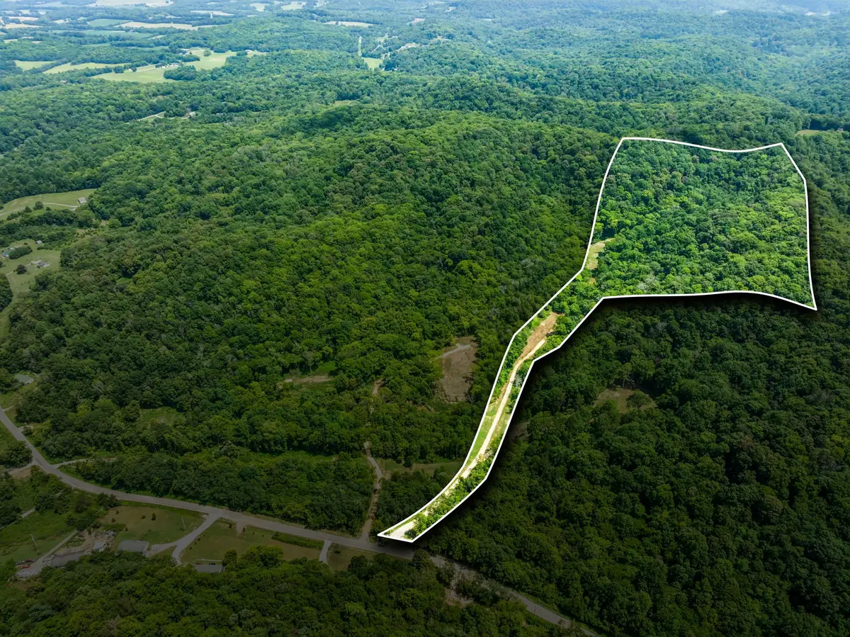 0 Preacher Holt Rd, Mount Pleasant, TN 38474 - #1