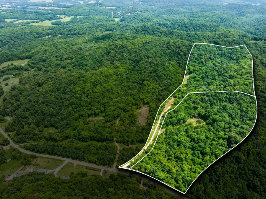 0 Preacher Holt Rd, Mount Pleasant, TN 38474 - #2