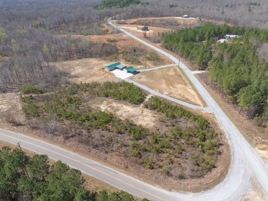 1700 Franks Rd, Sugar Tree, TN 38380 - #2