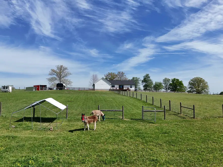 625 Robert Smith Rd, McMinnville, TN 37110 - #2