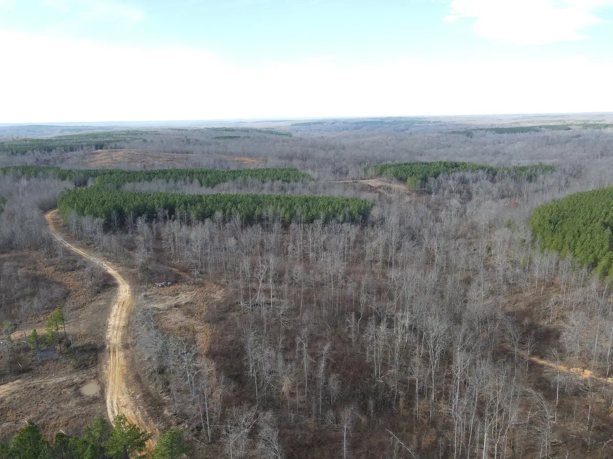 0 North Fork, Stewart, TN 37175 - #1