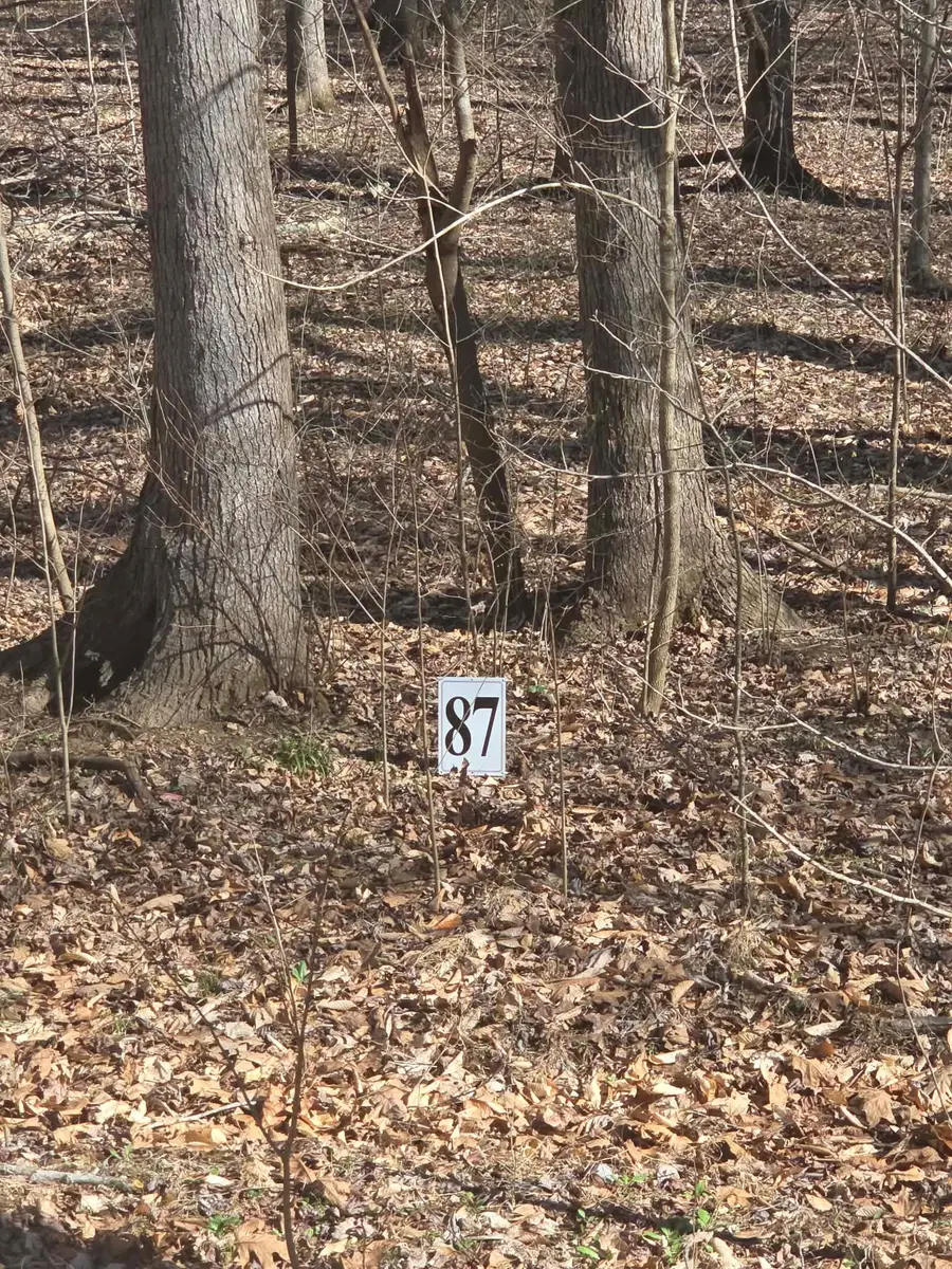 0 Periwinkle Hill Rd, Cadiz, KY 42211 - #2