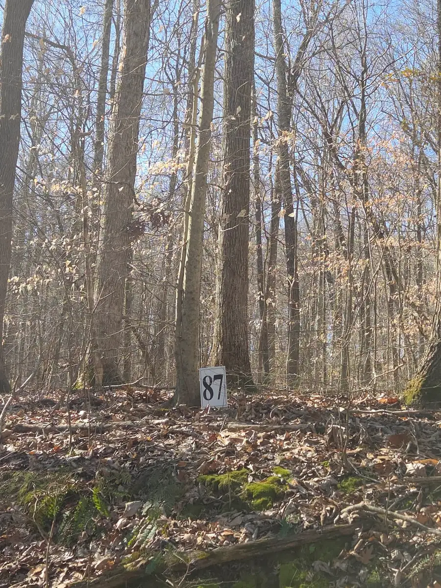 0 Periwinkle Hill Rd, Cadiz, KY 42211 - #3