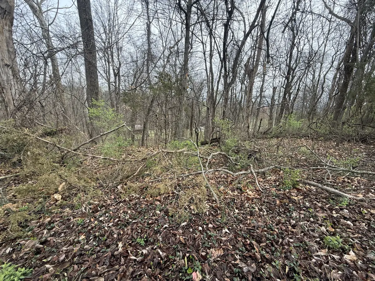 1915 Appomattox Dr, Lebanon, TN 37087 - #1