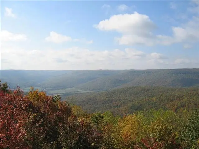 0 Nancy Wynn Ln, Sewanee, TN 37375 - #1