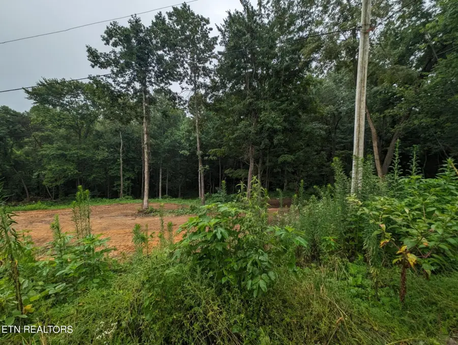 248 N Norris St, Jamestown, TN 38556 - #3