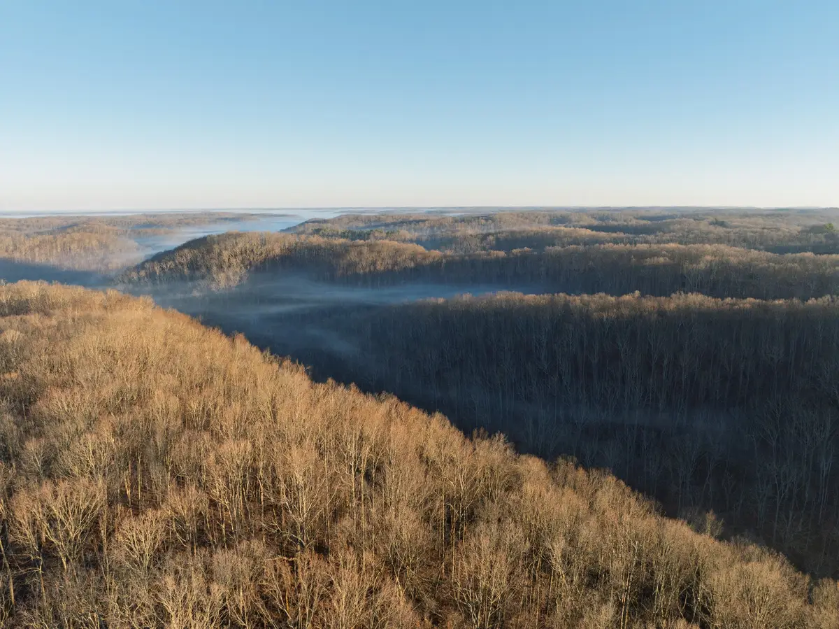 0 Chinkapin Ln, Franklin, TN 37064 - #1