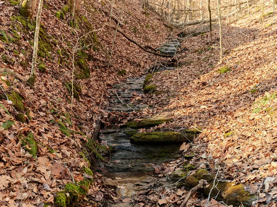 0 Chinkapin Ln, Franklin, TN 37064 - #2