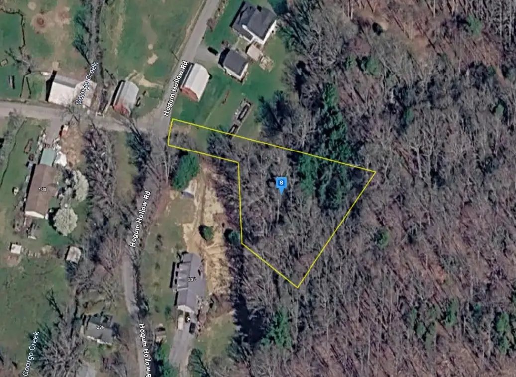 231 Hogum Hollow Rd, Roan Mountain, TN 37687 - #1