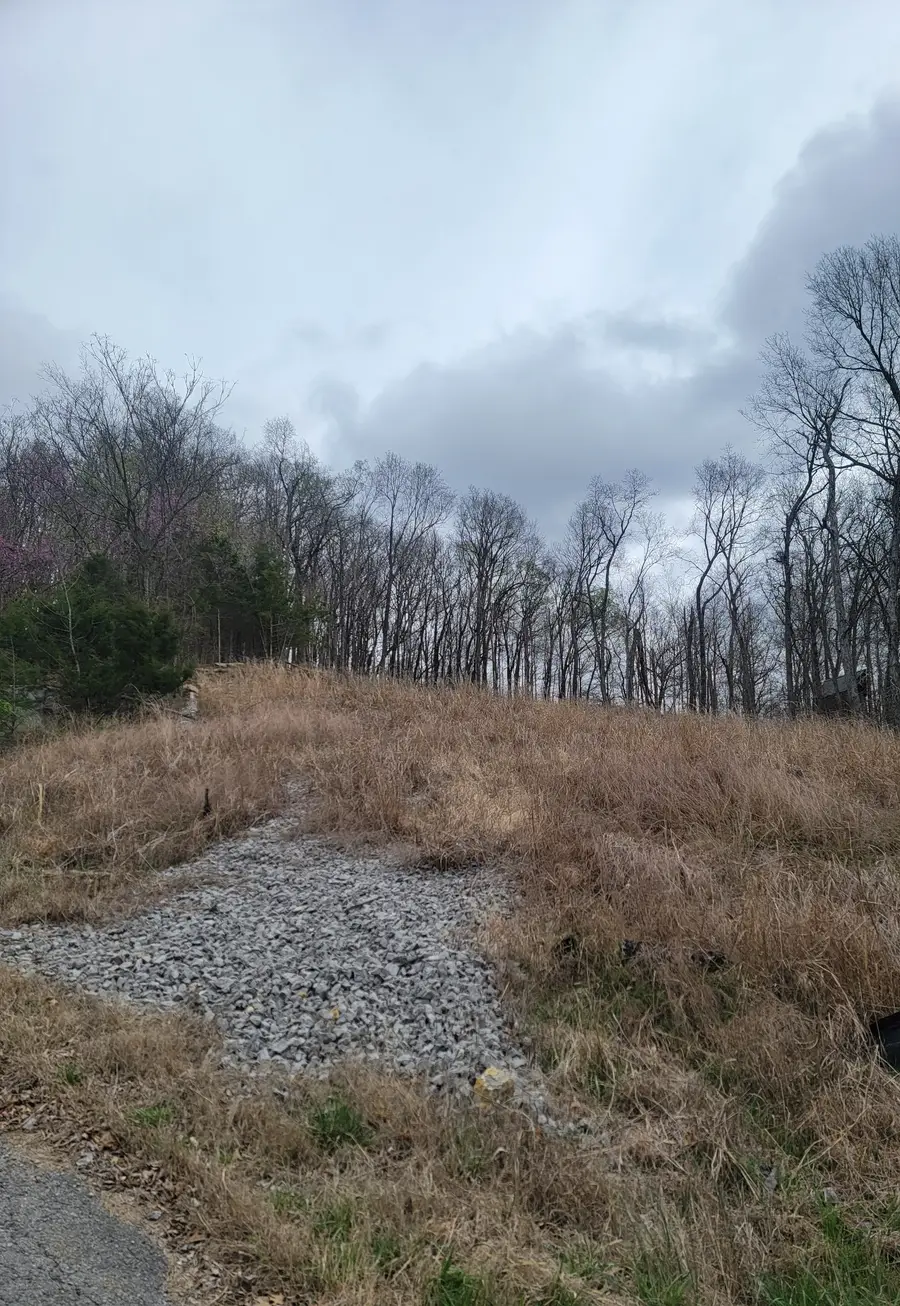 121 Matt Drive, Bell Buckle, TN 37020 - #2