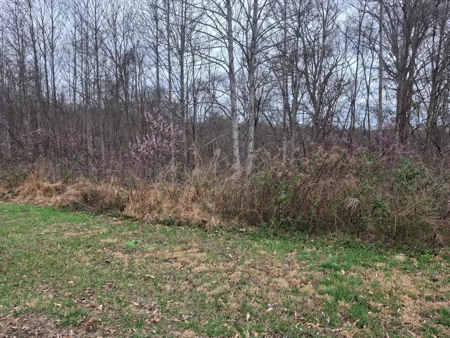 0 Hunters Landing Ln, Smithville, TN 37166 - #3