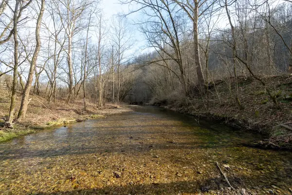 0 Charlie Allen Ln, Whitleyville, TN 38588