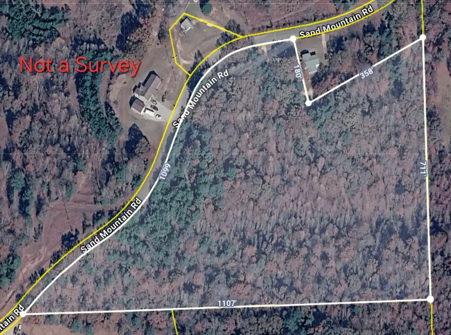 5030 Sand Mountain Rd, Enville, TN 38332 - #3