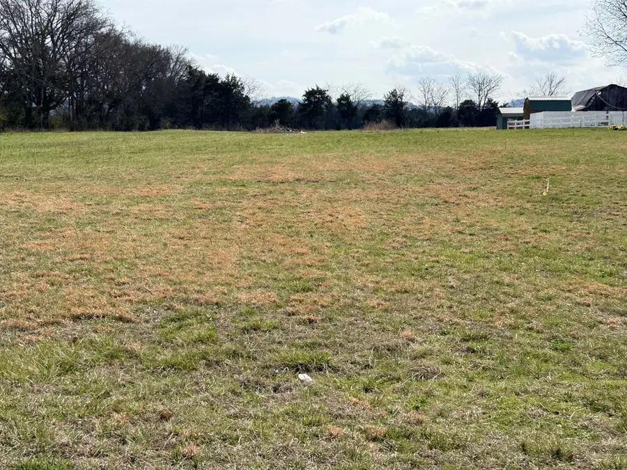6789 Ridley Earp Rd, Christiana, TN 37037 - #3