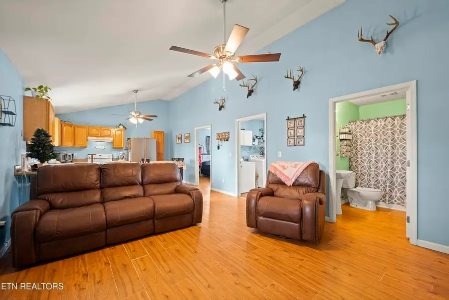 90 Illuminary Firetower Road, Spring City, TN 37381 - #3