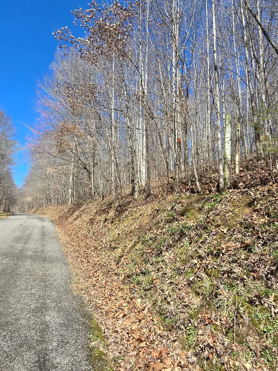 627 Stewart Hollow Rd, Lynchburg, TN 37352 - #2