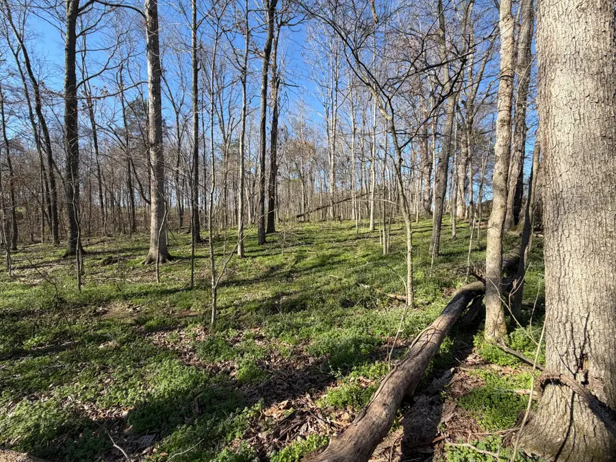 1 Samuel Dr, Murray, KY 42071 - #2