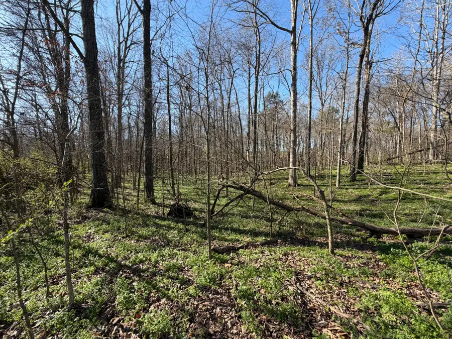 1 Samuel Dr, Murray, KY 42071 - #3