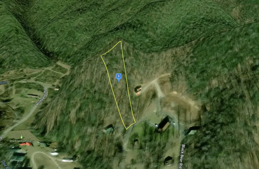 226 Black Bear Rdg, Roan Mountain, TN 37687 - #2