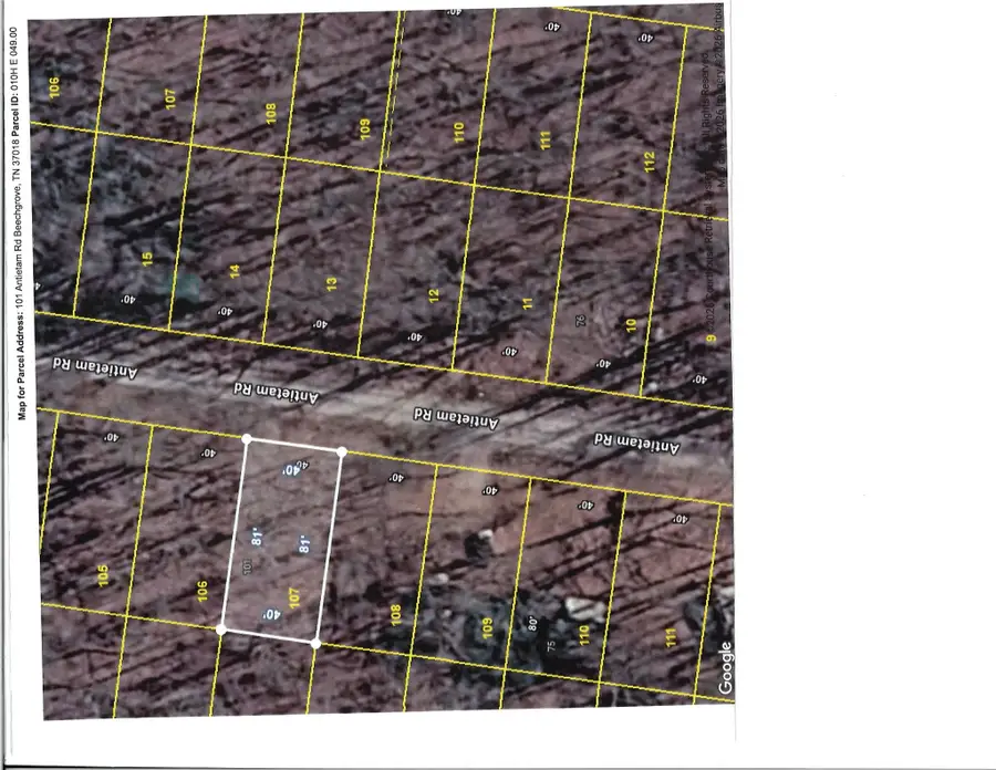 101 Antietam Rd, Beechgrove, TN 37018 - #2