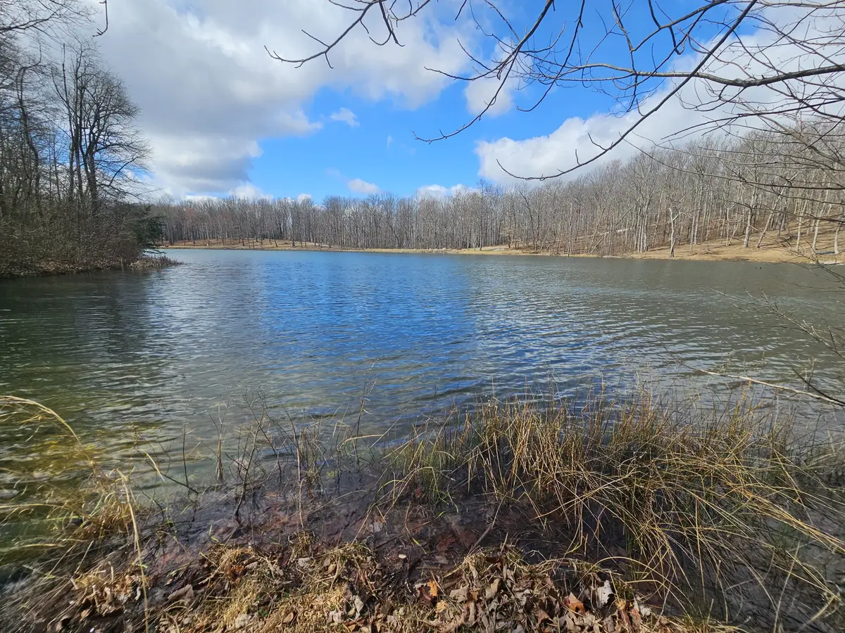 24 Blumont Drive, Altamont, TN 37301 - #1