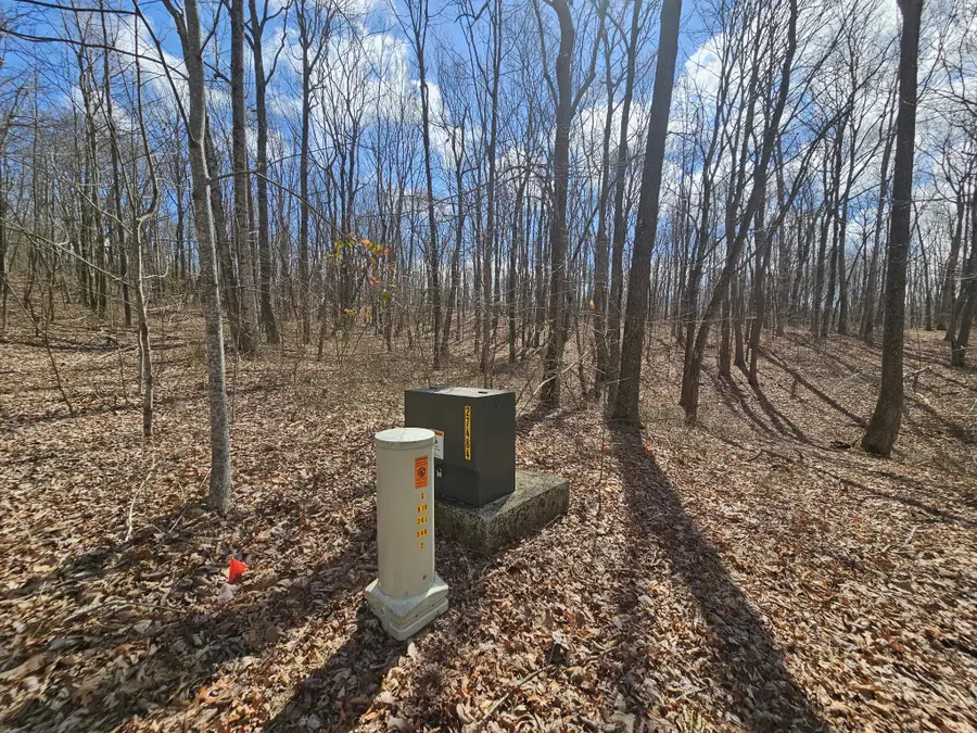 24 Blumont Drive, Altamont, TN 37301 - #3