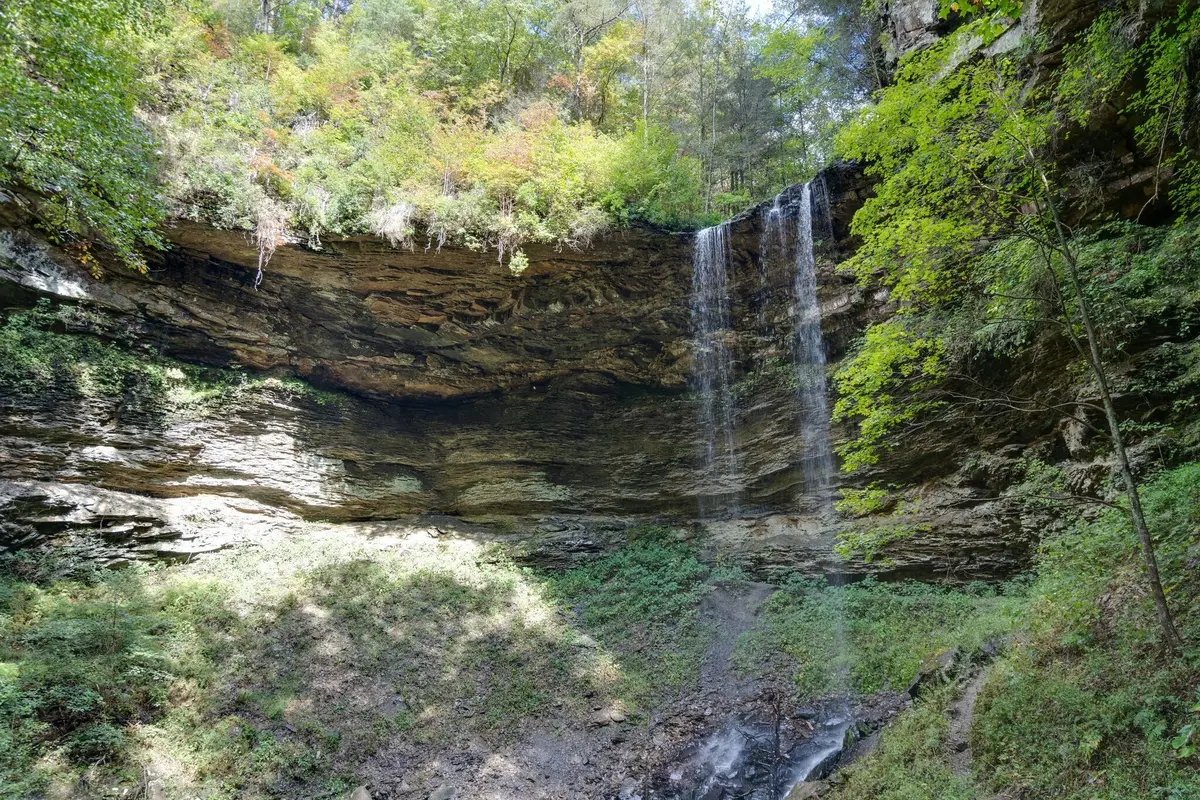 72 Lady Slipper Lane, Monteagle, TN 37356 - #1