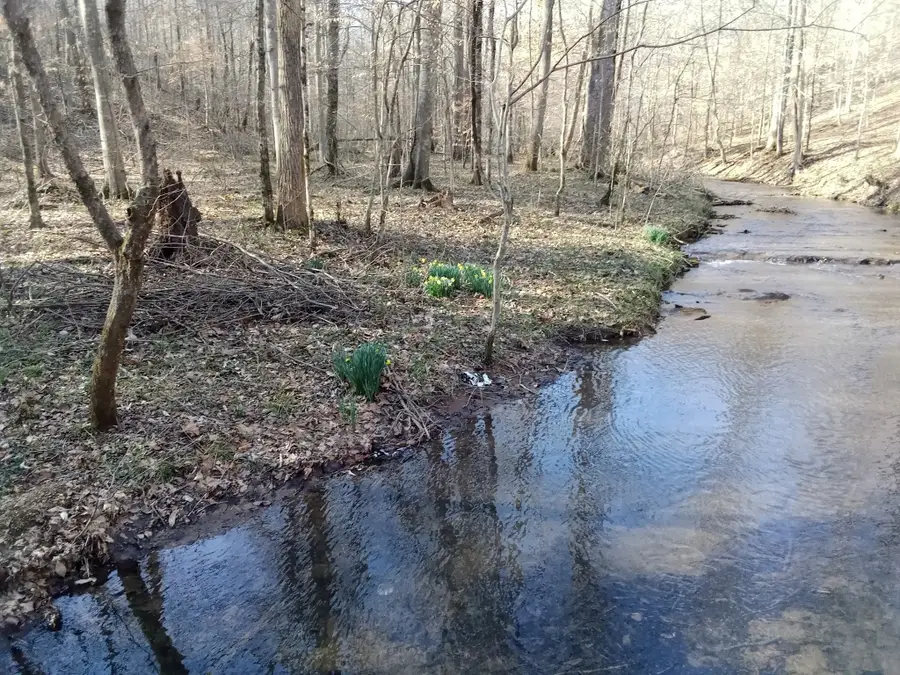 22 Lockridge Ln, Ashland City, TN 37015 - #2