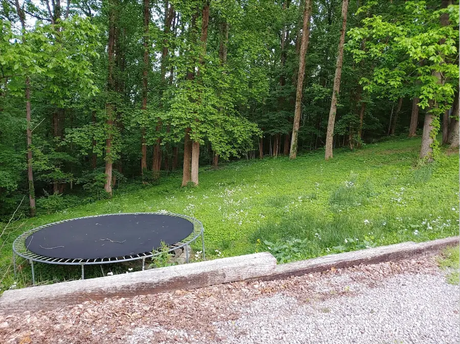 1010 Tyree Ct N, White House, TN 37188 - #2