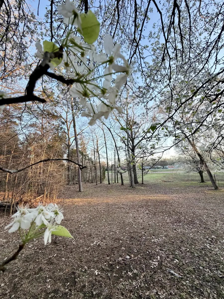 1 Us Highway 45 N, Henderson, TN 38340 - #2