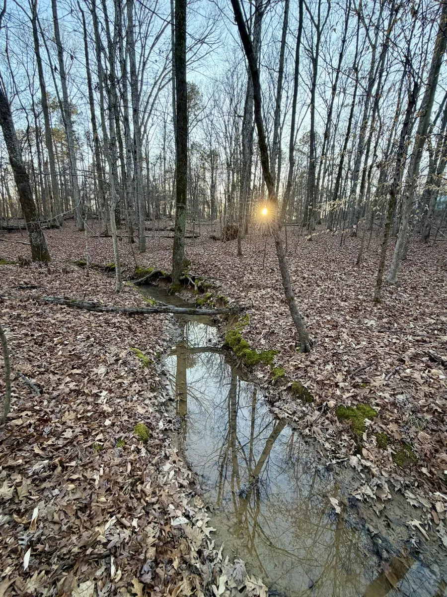 1 Us Highway 45 N, Henderson, TN 38340 - #3