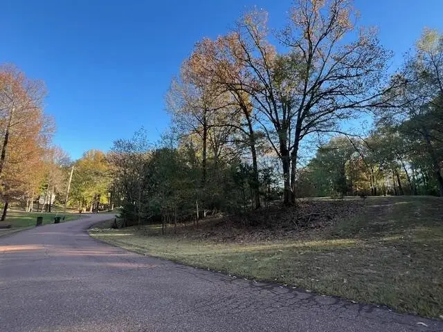 9021 E Planters View Cv, Memphis, TN 38133 - #3