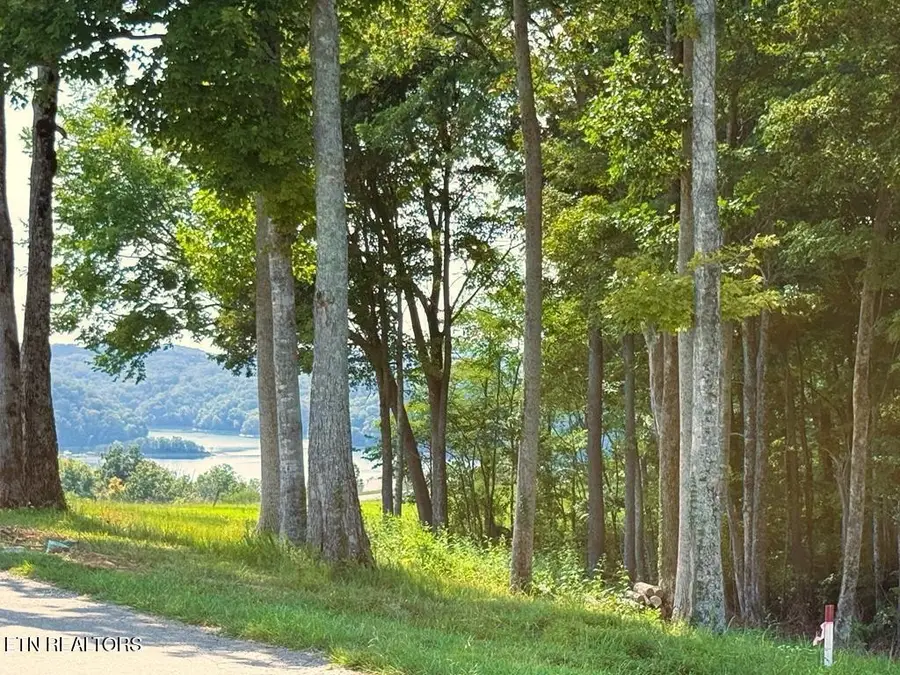 41 Bald Eagle Rd, Hilham, TN 38568 - #2