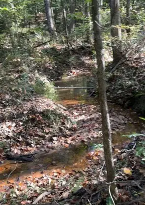 534 Whitney Branch Rd, Springville, TN 38256 - #3