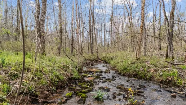 6455 Highway 48 N, Cumberland Furnace, TN 37051