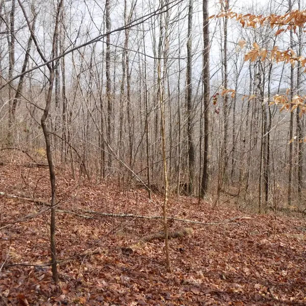 0 Cheyenne Drive, Jamestown, TN 38556