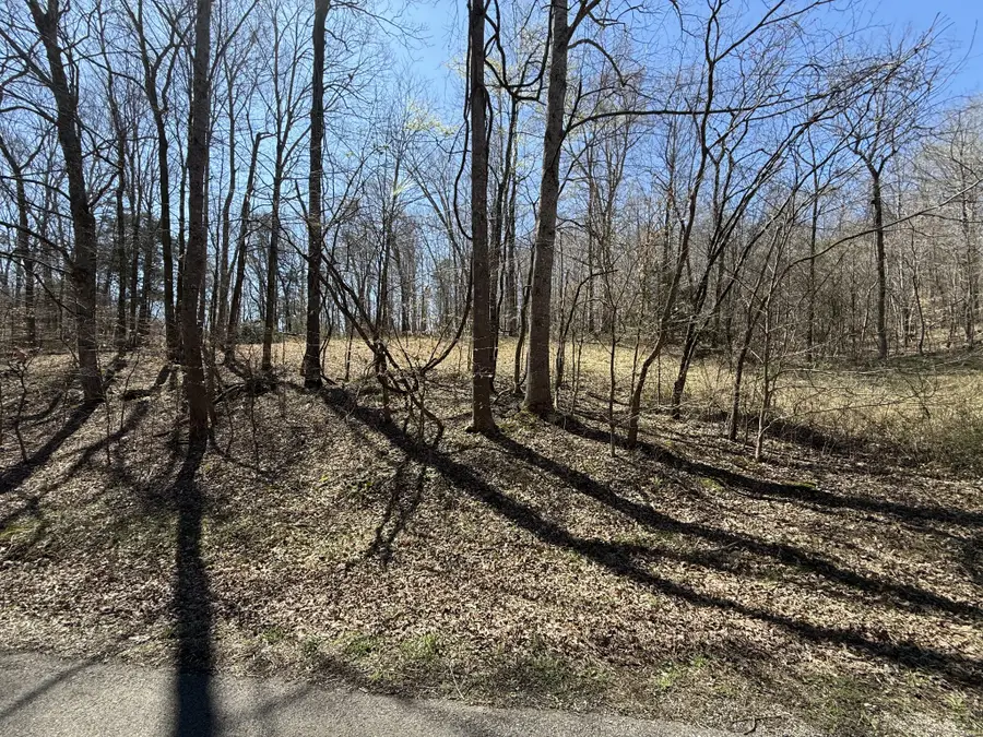 0 Brigham Branch Rd, Erin, TN 37061 - #2