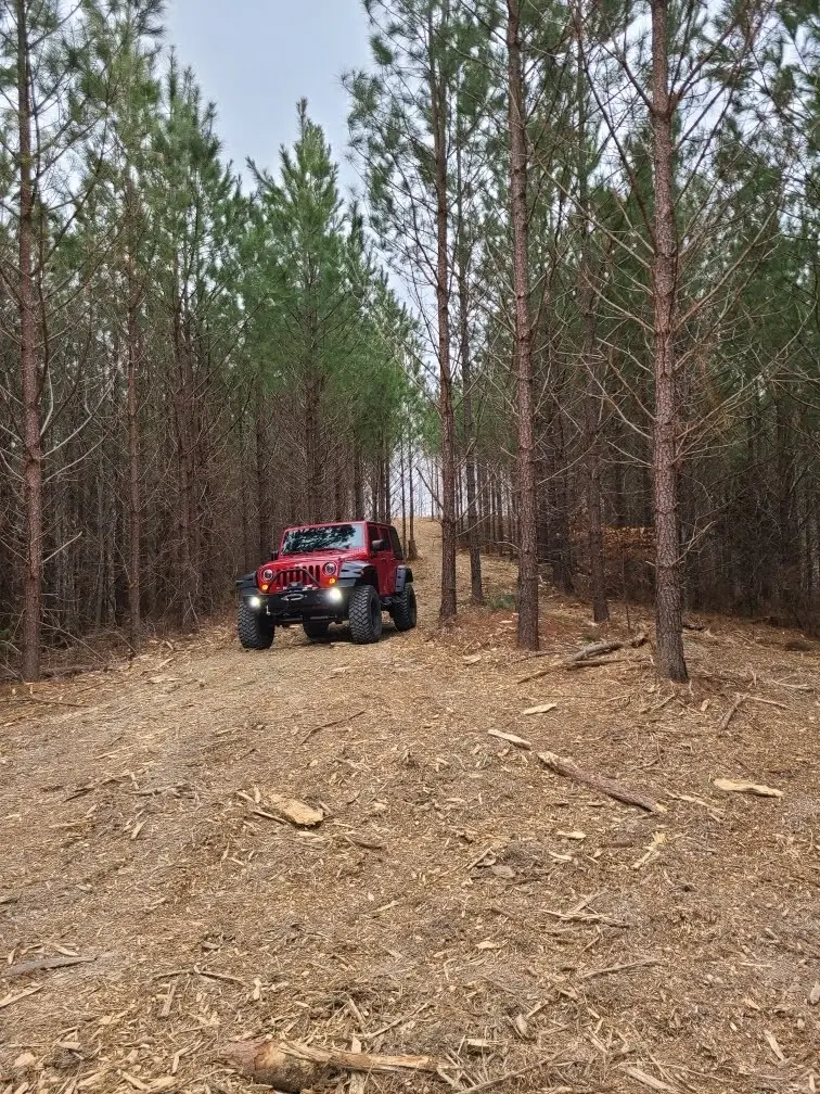 230 Juniper Dr, Linden, TN 37096 - #2