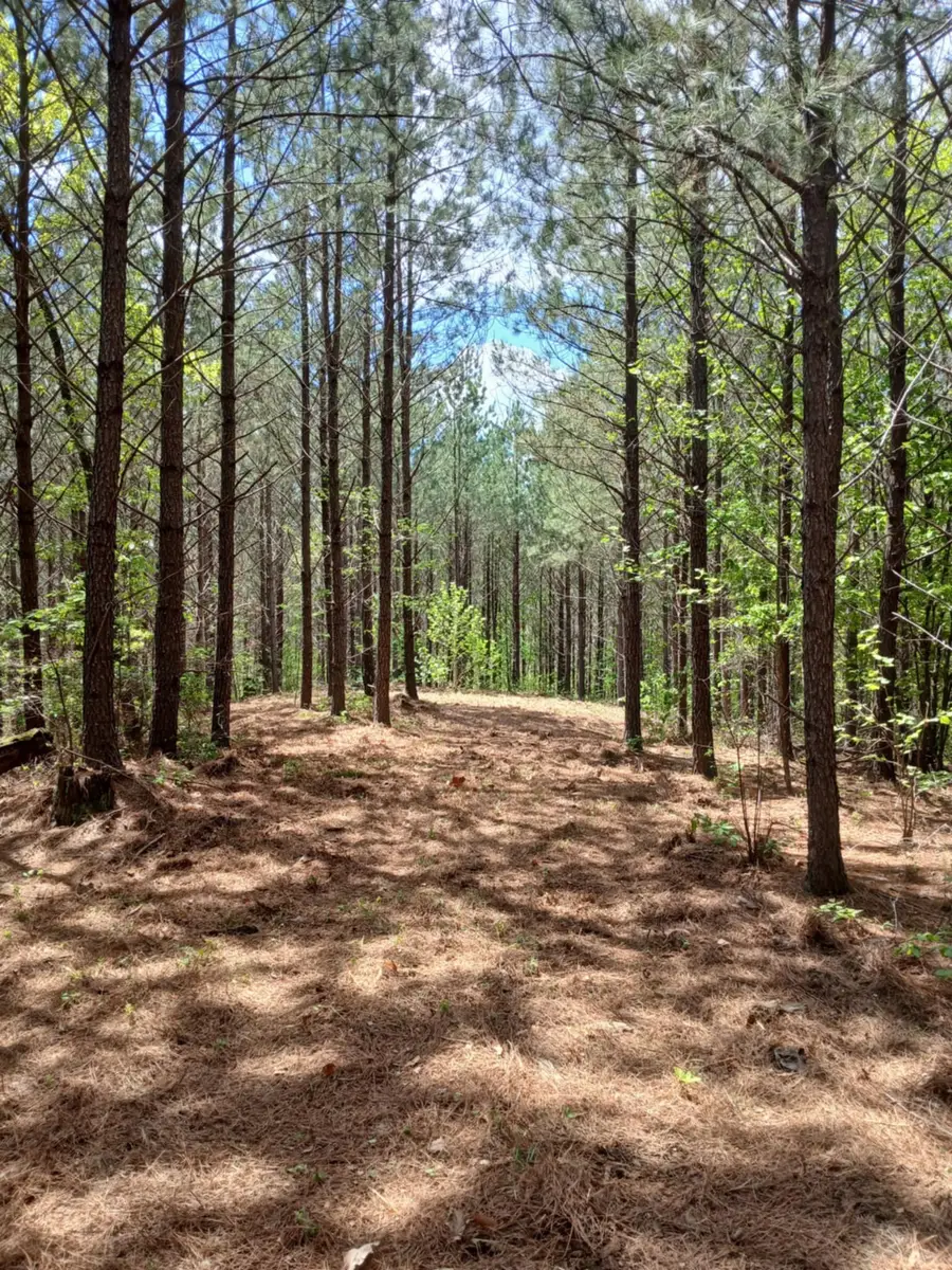 230 Juniper Dr, Linden, TN 37096 - #3