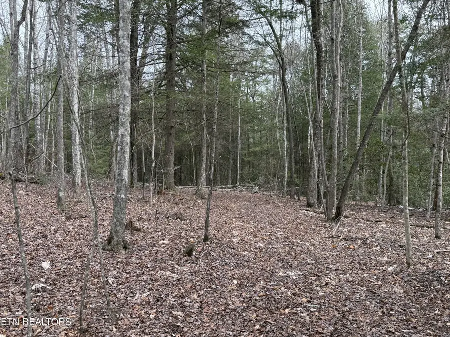 0 Northwood Place, Jamestown, TN 38556 - #2