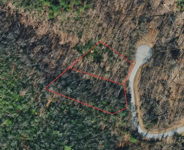 601 Escape Mountain Rd, Hampton, TN 37658