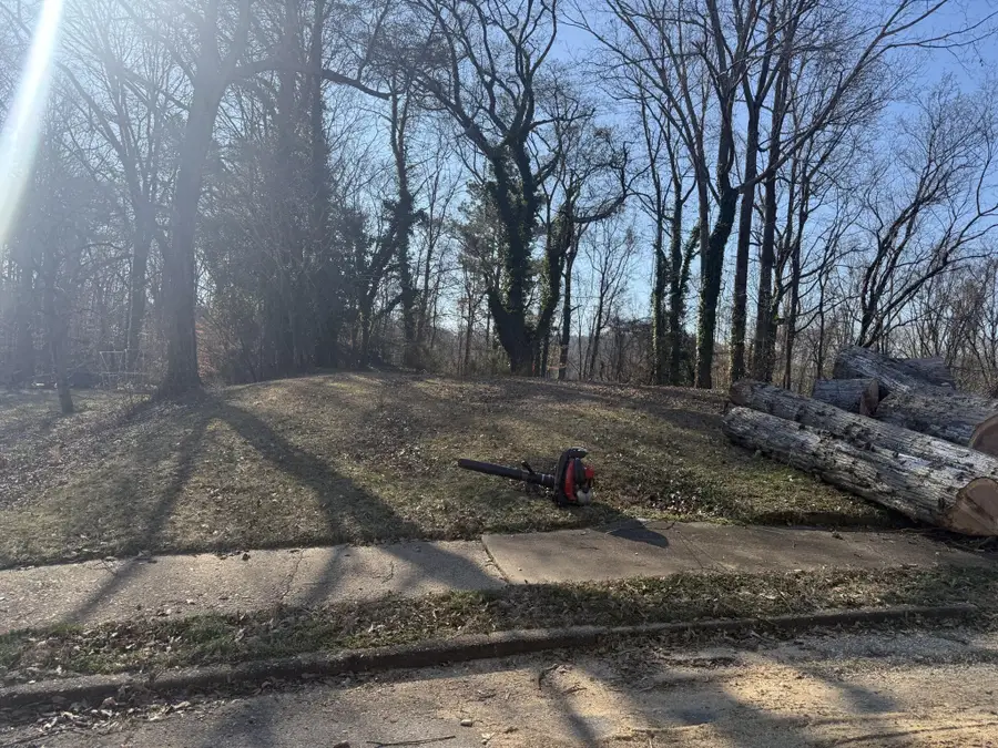 5414 Dorsey Street, Chattanooga, TN 37410 - #2