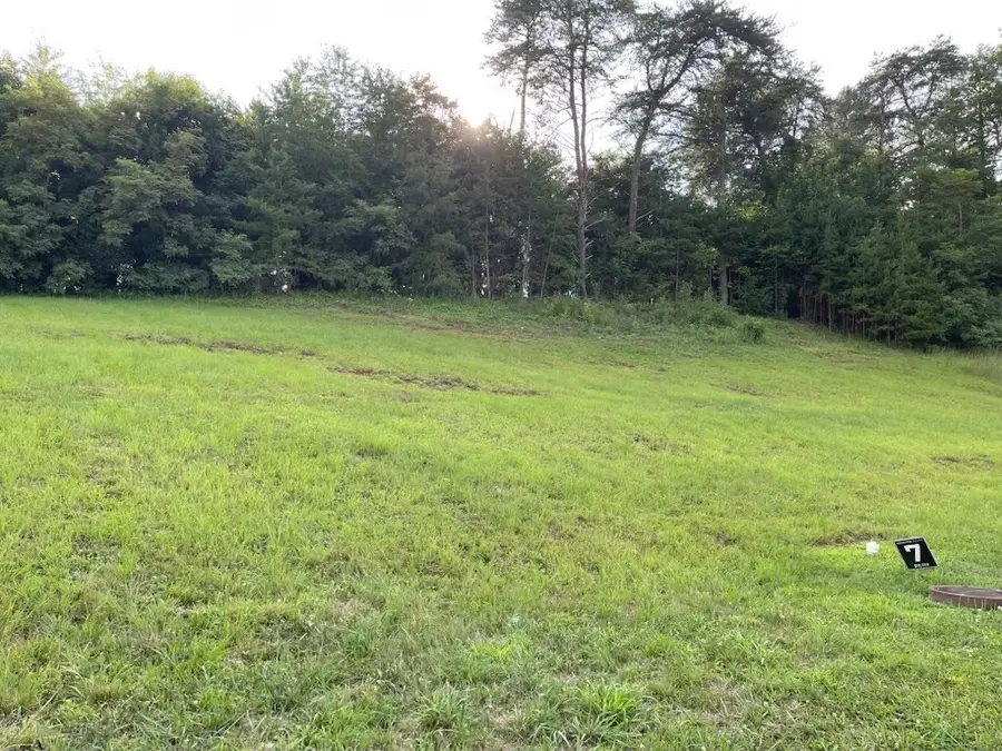 150 Brighton Pl, Bristol, TN 37620 - #3