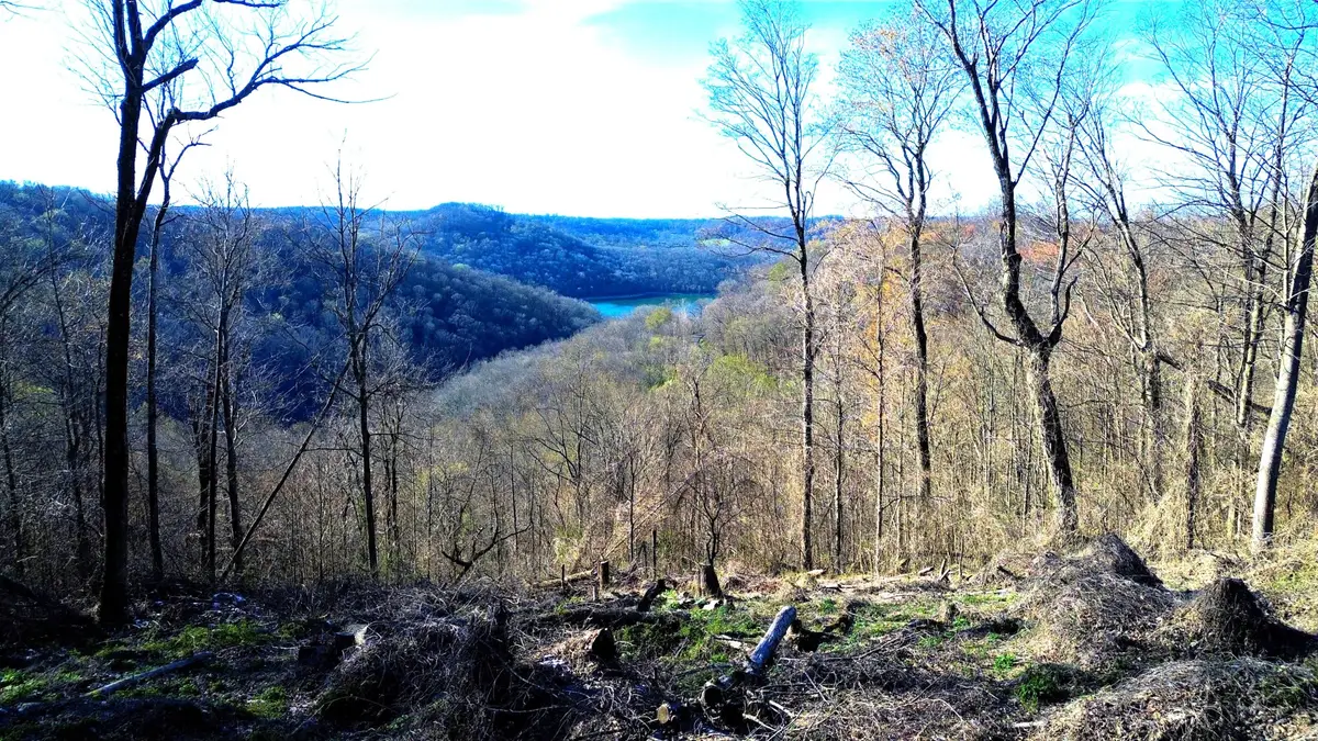 0 Lola Dr Lots 213 & 237, Smithville, TN 37166 - #1