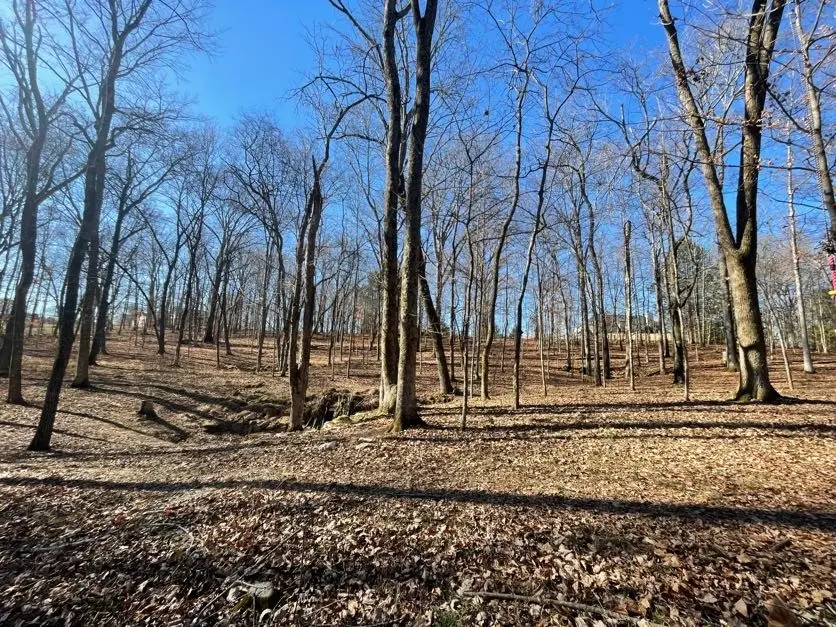 1875 Bakers Grove Rd, Hermitage, TN 37076 - #3