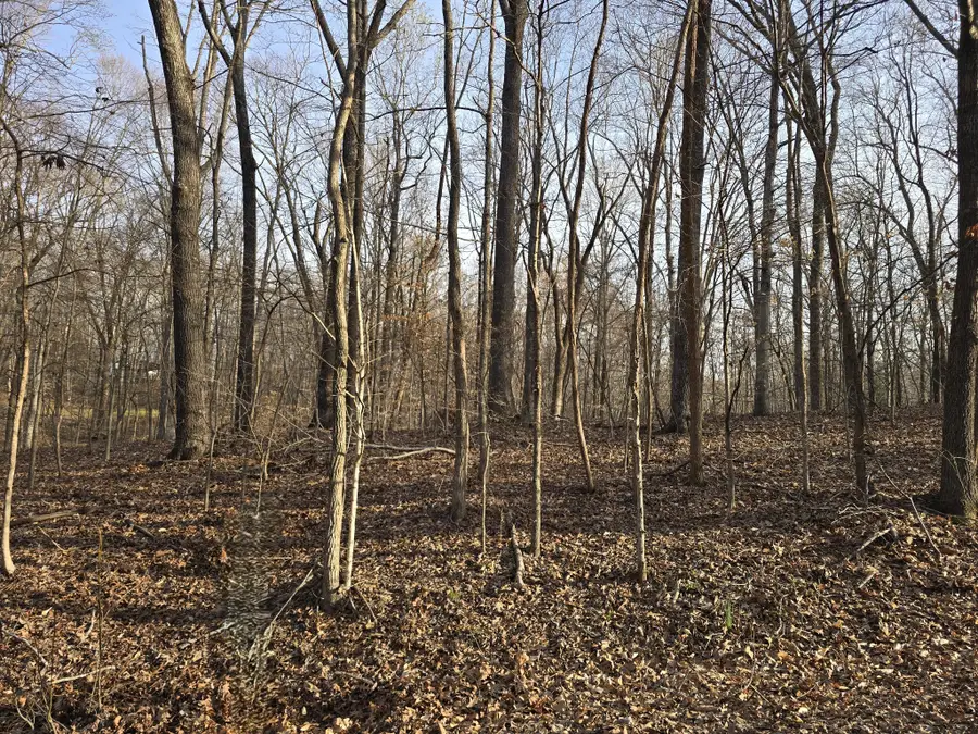 33 Rockcastle Shores, Cadiz, KY 42211 - #3