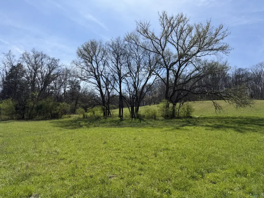 20 Fly Rd, Santa Fe, TN 38482 - #3