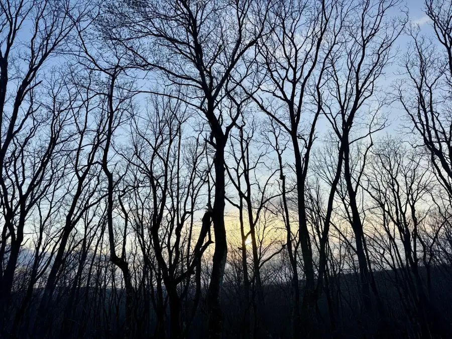 4007 Anderson Pike, Signal Mountain, TN 37377 - #3